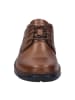 Josef Seibel Klassische Schnürschuhe in Braun