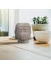 relaxdays 6 x Buddha Teelichthalter in Grau