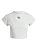 adidas Cropped T-Shirts in wonder silver