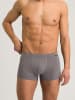 Hanro 2er-Pack Retro Boxershorts Cotton Essentials in red ochre/fresh grey