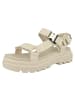 Palladium Sandale Pallacruise Strap L in beige