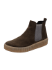 Gabor Chelsea Boots in Oliv