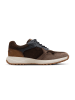 Tamaris Sneakers Low 1-13623-46 in braun