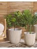 Beliani Outdoor Blumentopf CHIOS in Weiß/Beige - (W) 37 x (H) 38 x (L) 37 cm