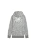 Puma Hoodie "teamJAWS Post Game Hoodie" in Grau