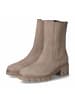 Gabor Chelsea Boots in Taupe