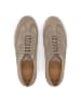 Kazar Schnürschuhe in Taupe