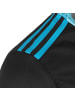 adidas Performance Torwarttrikot AdiPro 20 in schwarz / blau