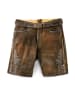 MADDOX Lederhose FAELO in dunkelbraun