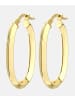 Vanlere Creolen aus 375 Gelbgold
