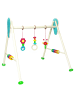 Hess Holzspielzeug  Babyspielgerät "Käfer Tom" in Bunt