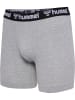 Hummel 2-er Pack Retro Boxershorts Trunks Set Unterwäsche HMLBOXERS in Grau