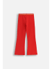 Coccodrillo Jogginghose in rot