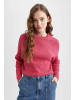 DeFacto Strickpullover in Fuchsia