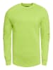 Rusty Neal Biker Sweater in Lime