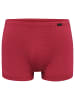 Olaf Benz Boxer RED2555 Minipants in berry
