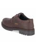 Camel Active Schnürhalbschuh in brown