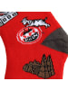 Fußballverein 1. FC Köln Kinder Socken "Kindersocken Jecke Söck 2er Paar" in Multicolor