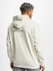 Puma Puma Puma NJR Hoodie in grey