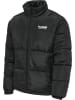 Hummel Hummel Reißverschluss Jacke Hmllgc Nicky Herren in BLACK