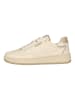 ellesse Sneaker Gavin in 672ELS Off White Frost