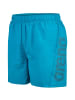 Arena Badeshorts Logo in turquoise-dark olive