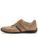 Pius Gabor Schnürschuhe  in Braun