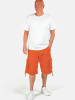 Molecule Cargoshorts Cyclones in Orange