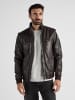 JCC Lederjacke 3102166 in braun