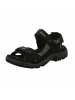 Ecco Komfort Sandalen für Herren in schwarz