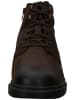 Geox Stiefelette in Coffee