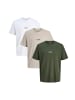 Jack & Jones T-Shirt Soho in Weiß / beige / grün