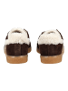 Steve Madden Sneaker Dunkelbraun