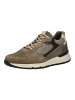 Nero Giardini Sneaker Fango