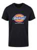 Dickies Dickies T-Shirts in black