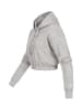 Champion Champion Kapuzenpullover in grey