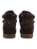 Steve Madden Stiefelette MUSTANG Braun