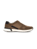 Pius Gabor Sneaker low in braun