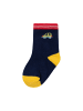 Minoti 5er-Set: Kurzsocken NBB SOCK 46 in dunkelblau