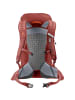 Deuter AC Lite 24 in Orange505