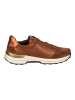 ara Sneaker in Nut