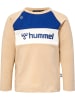 Hummel Hummel T-Shirt Hmlmurphy Jungen in IRISH CREAM