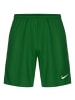Nike Performance Funktionsshorts League Knit II in grün / weiß