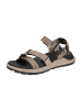Ecco Trekkingsandalen in Braun