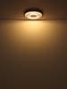 Globo lighting Deckenleuchte "JAYDEN" in anthracite