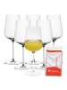 Spiegelau 6er Set Universalgläser + Poliertuch Definition 550 ml in transparent