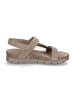 PANAMA JACK Sandale Selma B19 in Taupe