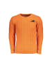 U.S. Polo Orange Acryl Herren Pullover