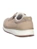 Joya Schnürschuh DYNAMO ZIP W BEIGE II in beige