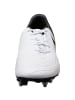 Nike Performance Fußballschuh Phantom GX II Academy AC in weiß / schwarz